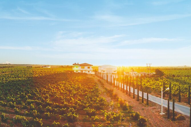 Vineyard Tour in Al Mafraq Governorate - Starting at 9:00 am on Arar Street