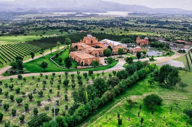 Vineyard, tour, tasting and fun in San Miguel de Allende - What makes this vineyard outing worth your time