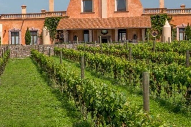 Vineyard, tour, tasting and fun in San Miguel de Allende - The hacienda gardens and the story of Mexican wine