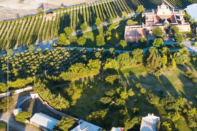 Vineyard, tour, tasting and fun in San Miguel de Allende - The transport questions you should settle early