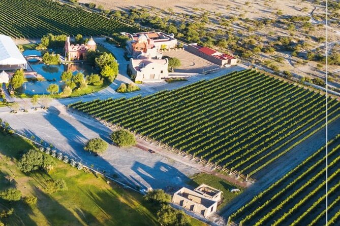 Vineyard, tour, tasting and fun in San Miguel de Allende - Should you book this San Miguel wine experience?