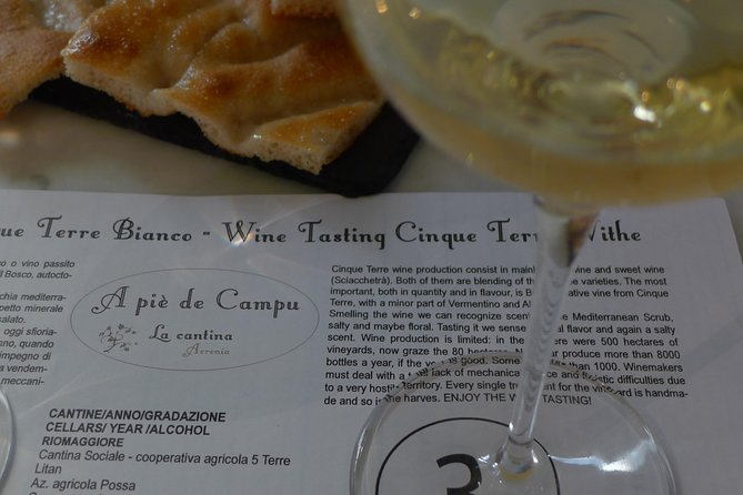vineyard tour & wine tasting - Walking above Manarola’s famous houses