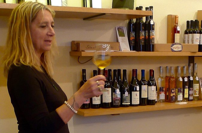 vineyard tour & wine tasting - Who should book this experience?