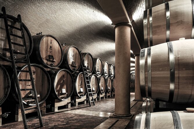 Vineyard Tour with Light Lunch in Valpolicella - The Cellar, Barrels, Barriques, and Concrete Amphorae