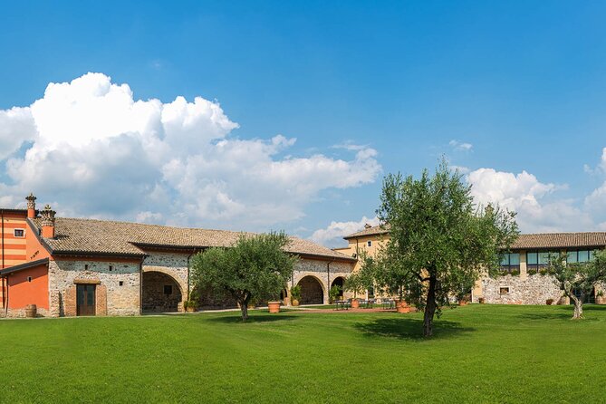 Vineyard tour with tasting of 4 wines on Garda Hills - Key points at a glance