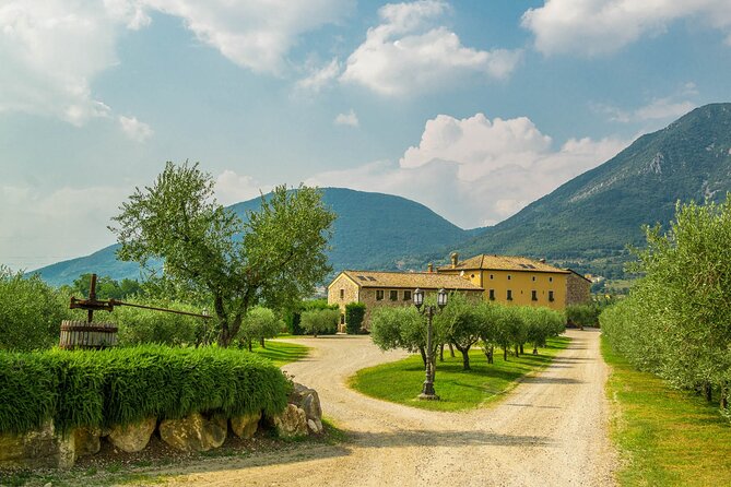 Vineyard tour with tasting of 4 wines on Garda Hills - Inside the aging cellar and spumantificio