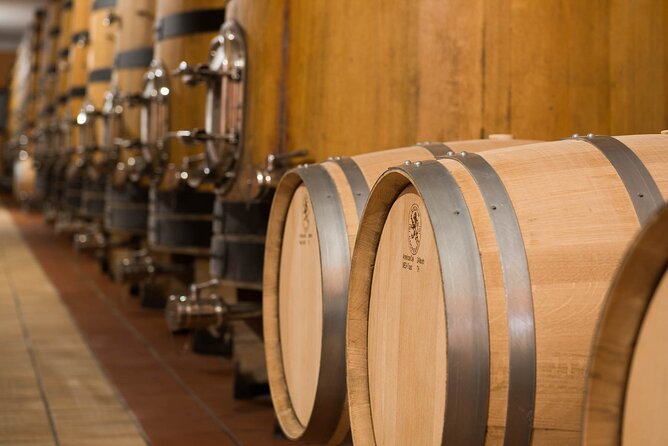 Vineyard tour with tasting of 4 wines on Garda Hills - What the guide adds to the visit