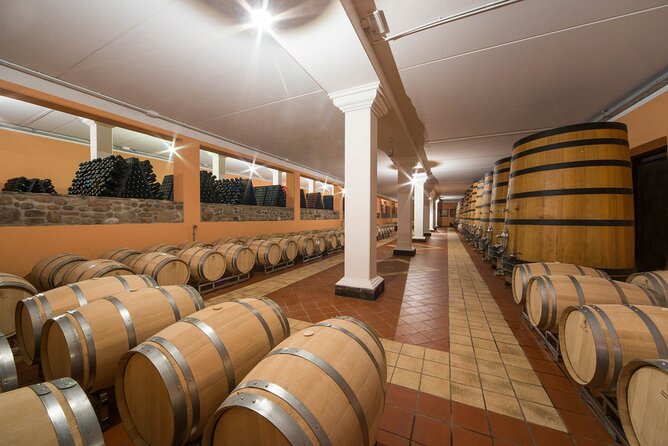 Vineyard tour with tasting of 4 wines on Garda Hills - Who will enjoy this wine tour most?