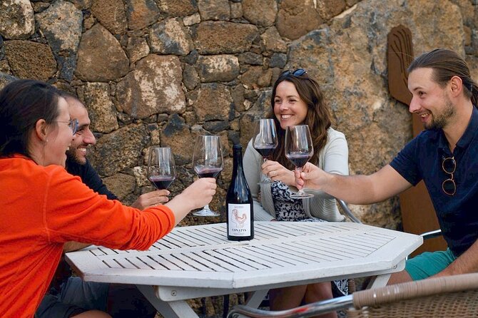 Vineyard tour with wine tasting and local products - Key points to know before booking