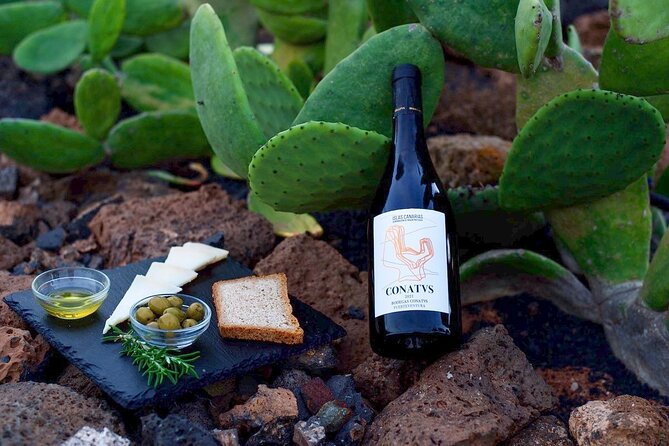 Vineyard tour with wine tasting and local products - From grape to bottle inside the winery