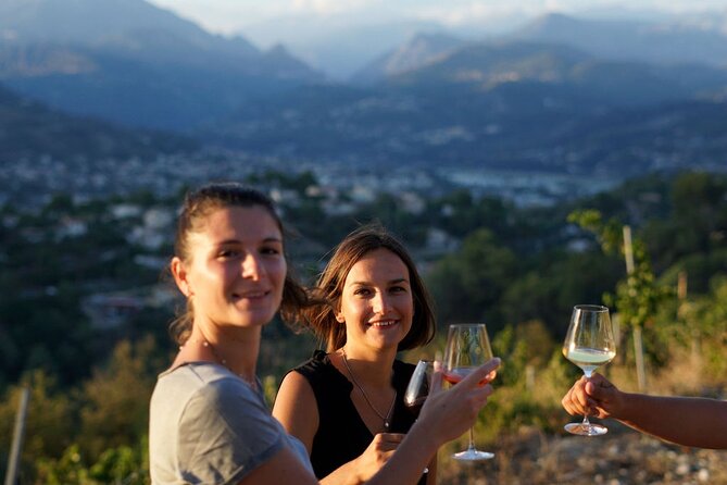 Vineyard Tour with Wine Tasting within Nice city borders - Key points before you book