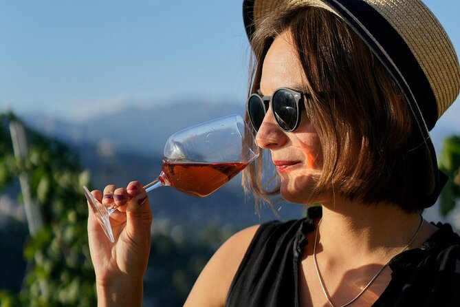 Vineyard Tour with Wine Tasting within Nice city borders - The old chapel tasting room