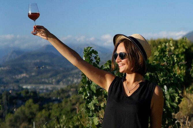 Vineyard Tour with Wine Tasting within Nice city borders - Getting to 482 Chem. de Saquier