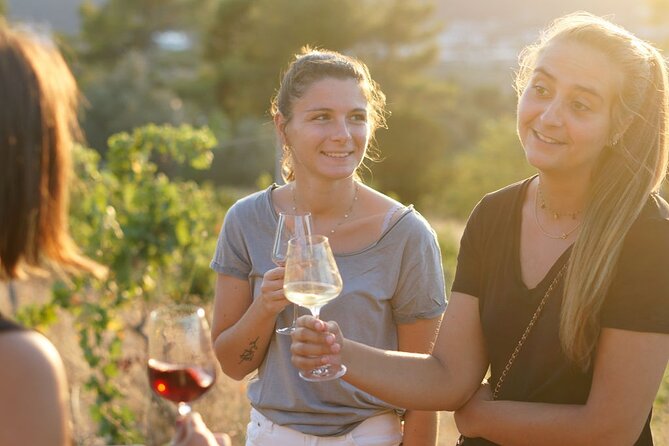 Vineyard Tour with Wine Tasting within Nice city borders - How much value do you get for $39.91?