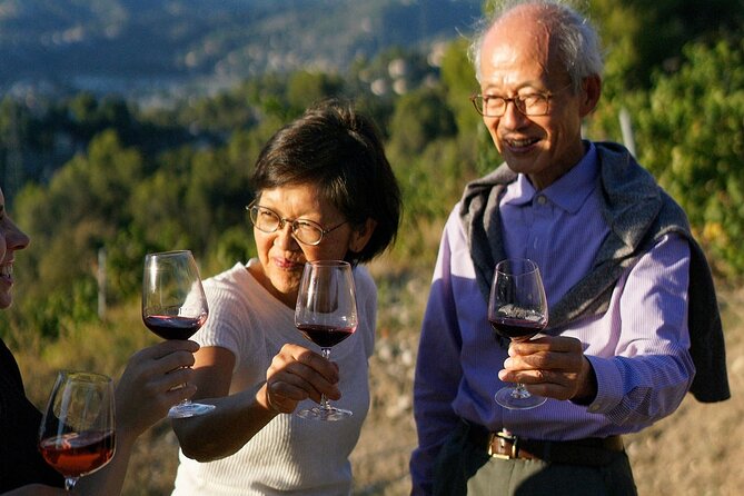 Vineyard Tour with Wine Tasting within Nice city borders - How long should you set aside?