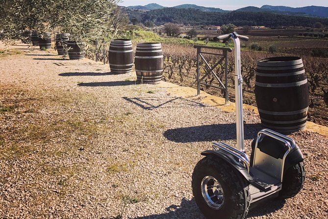 Vineyard visit in Gyropode, visit of Cave & Tasting Wines of Bandol - Key Points Before You Book