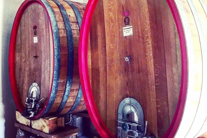 Vineyard visit in Gyropode, visit of Cave & Tasting Wines of Bandol - A Vineyard Visit With a Gyropode Twist