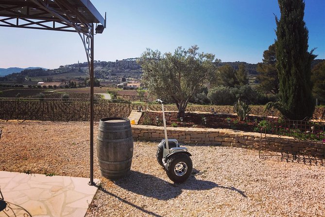 Vineyard visit in Gyropode, visit of Cave & Tasting Wines of Bandol - Inside the Cellar: From Grapes to Bandol Wine