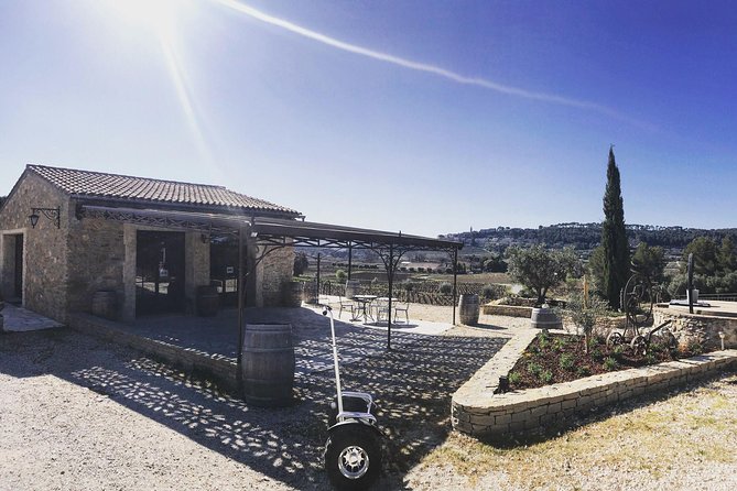 Vineyard visit in Gyropode, visit of Cave & Tasting Wines of Bandol - Is $34.81 Good Value?