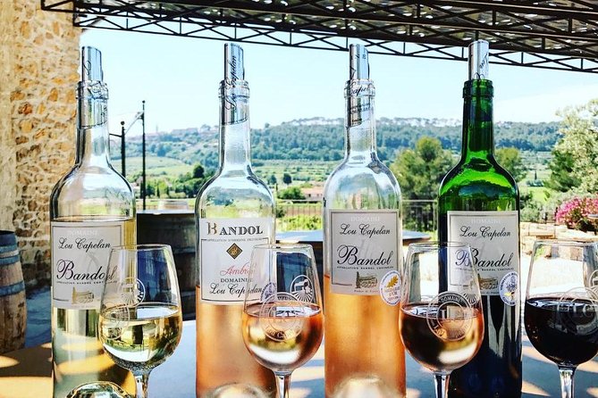 Vineyard visit in Gyropode, visit of Cave & Tasting Wines of Bandol - Who Will Enjoy This Best?