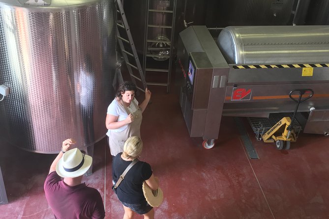 Vineyard visit with local appetisers and wine tasting - Arriving at Tenuta Guardastelle near San Gimignano