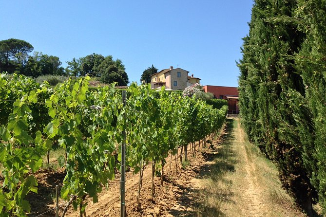 Vineyard visit with local appetisers and wine tasting - How long the visit really takes