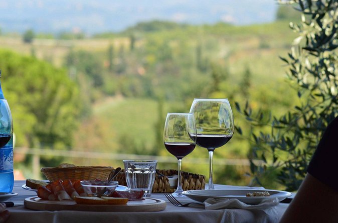 Vineyard visit with local appetisers and wine tasting - Practical details before you reserve
