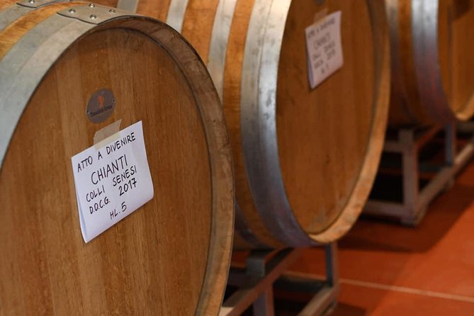 Vineyard visit with local appetisers and wine tasting - Four wines with Tuscan food at the tasting table