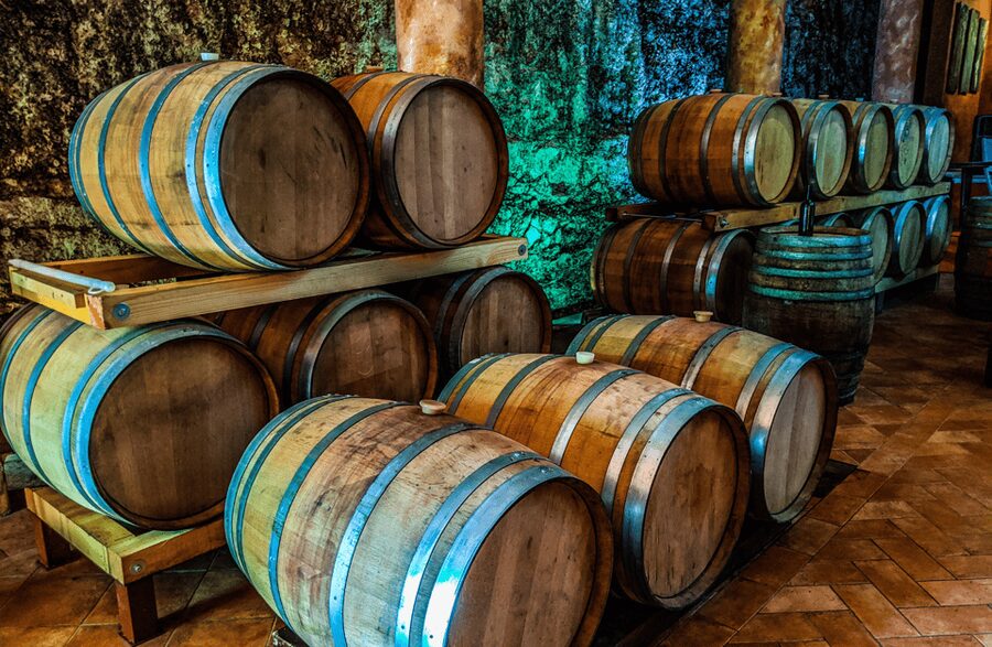 Vineyard Walk & Wine Tasting in the Berici Hills of Vicenza - Key points about this Colli Berici wine visit