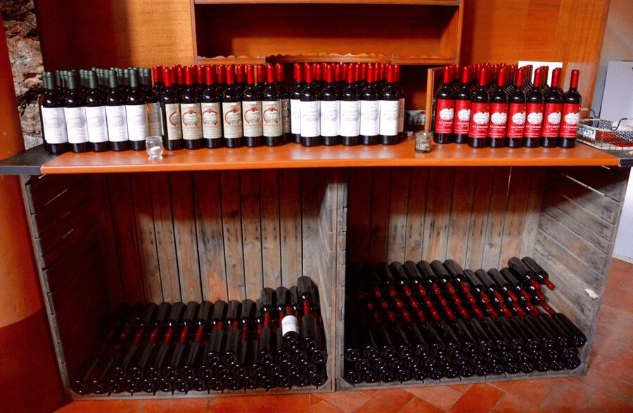 Vineyard Walk & Wine Tasting in the Berici Hills of Vicenza - Best for couples, families, and small groups