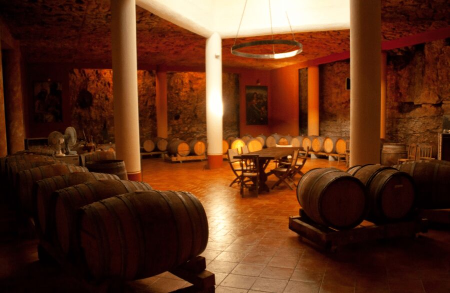 Vineyard Walk & Wine Tasting in the Berici Hills of Vicenza - Should you book this winery experience?