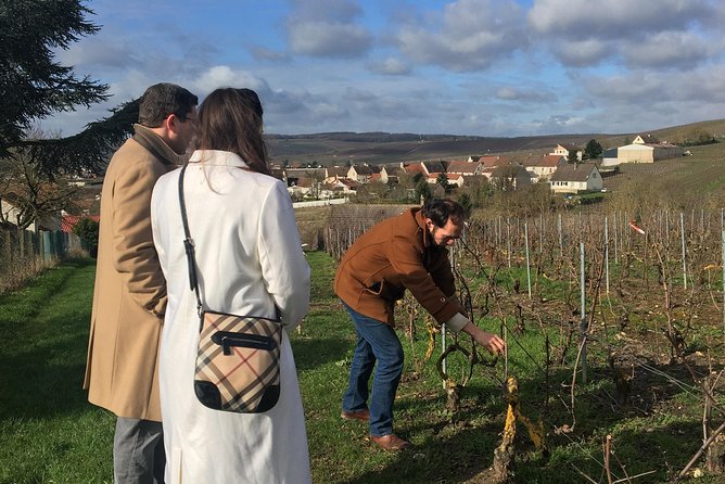 Vineyard Walking Tour & 5 Champagnes Tasting - Five useful things to know before you go