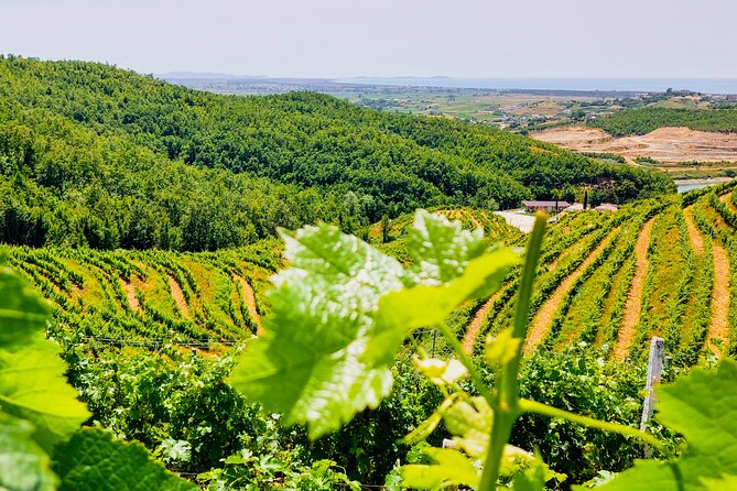 Vineyards, Albanian Wine Tasting & Boat Tour from Tirana/Durres - Why this winery visit is worth your time
