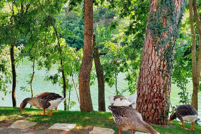 Vineyards, Albanian Wine Tasting & Boat Tour from Tirana/Durres - How the group size affects the experience