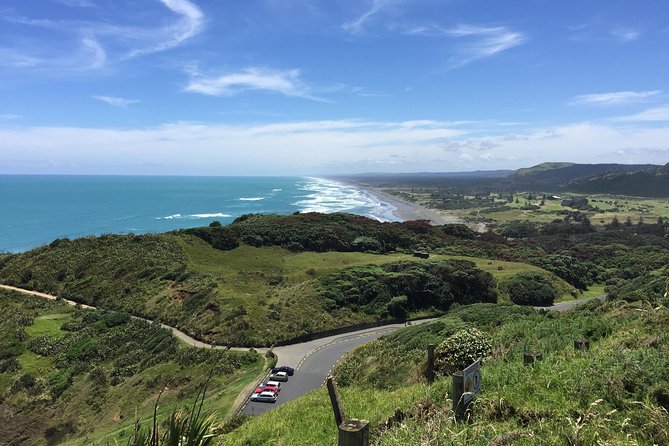 Vineyards Honey and Black Sand Beaches from Auckland - Timing, transport, and who should book