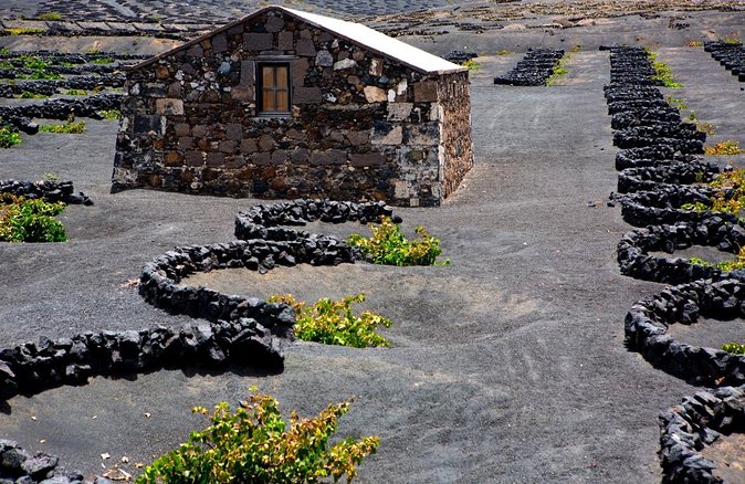 Vineyards of La Geria hiking tour - Key points to know before booking