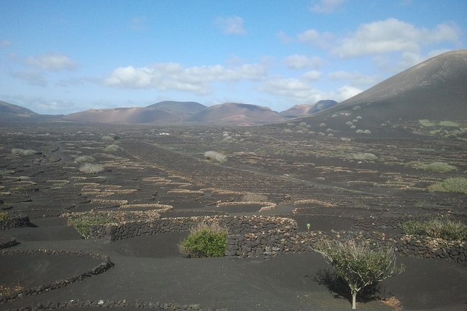 Vineyards of La Geria hiking tour - Why La Geria feels unlike any other wine region