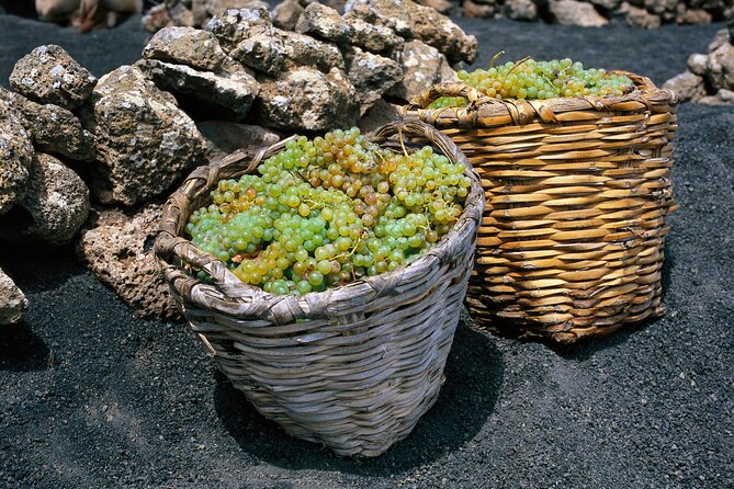 Vineyards of La Geria hiking tour - Who will enjoy this La Geria hike most