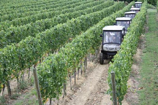 Vineyards tour with Electric Jeep with wine tasting - Five things to know before booking