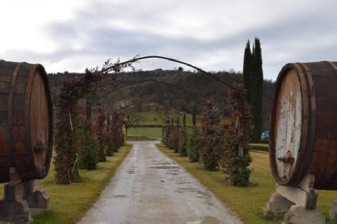 Vineyards tour with Electric Jeep with wine tasting - Reaching Monte Vibiano Vecchio from Perugia