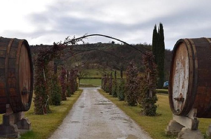 Vineyards tour with Electric Jeep with wine tasting - Why the 2003 winery matters