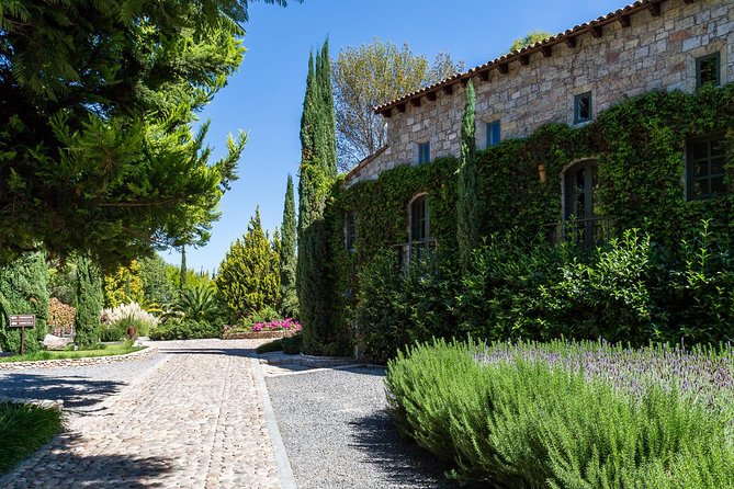 Vineyards, Wine Tasting and Pairing in San Miguel - Key points to know before booking
