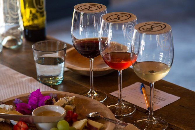 Vineyards, Wine Tasting and Pairing in San Miguel - Leaving San Miguel for Mexican wine country