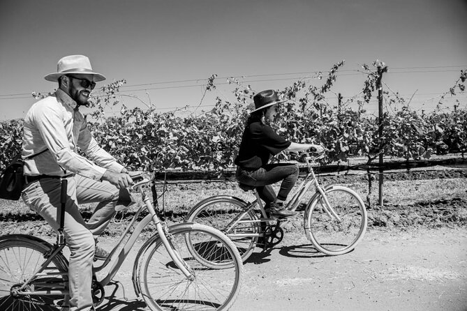 Vineyards, Wine Tasting and Pairing in San Miguel - Guides, drivers, and the value of a private day