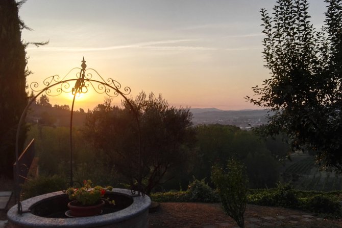Visit among vineyards and wine cellar with wine tasting in Nizza Monferrato - Why La Gironda makes a good wine stop