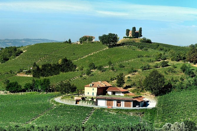 Visit among vineyards and wine cellar with wine tasting in Nizza Monferrato - Tasting wines in the garden or tasting room