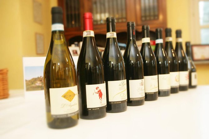 Visit among vineyards and wine cellar with wine tasting in Nizza Monferrato - How much value do you get for $24.08?