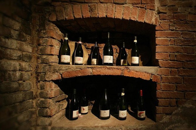 Visit among vineyards and wine cellar with wine tasting in Nizza Monferrato - Practical booking advice