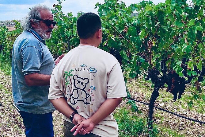 Visit Cuenca and a Vineyard in Spanish Tuscany from Madrid - Why Cuenca makes a strong change from Madrid