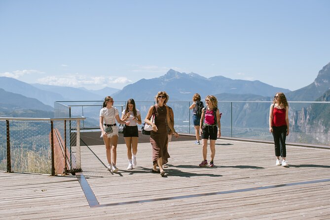 Visit of the vineyard on Mount Mezzocorona and tasting of 3 wines - Key points to know before booking
